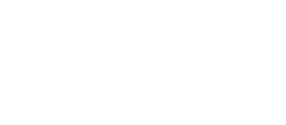 LOGO-SKYGGEN