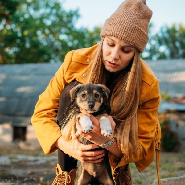 woman-volunteer-meeting-homeless-dog-puppies-in-fall-nature-background-pet-love-caring-for-pets.jpg